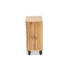 Gisela Modern and Contemporary Oak Brown Finished Wood 2-Door Shoe Storage Cabinet