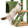 Desert Cactus Cat Tree Ladder Multi Levels Condo