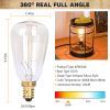 Electric Wax Melt Warmer Vintage Light Bulb Fragrance Candle Warmer for Rustic Office Home with Replacement Bulb