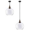 9.8 Ball Shape Glass Ceiling Light/Transperant